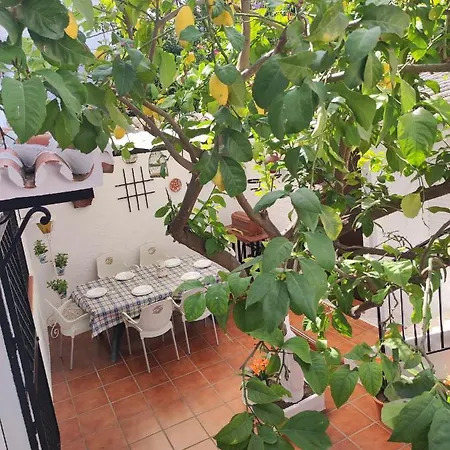 Сasa de vacaciones Ferrete Canete la Real